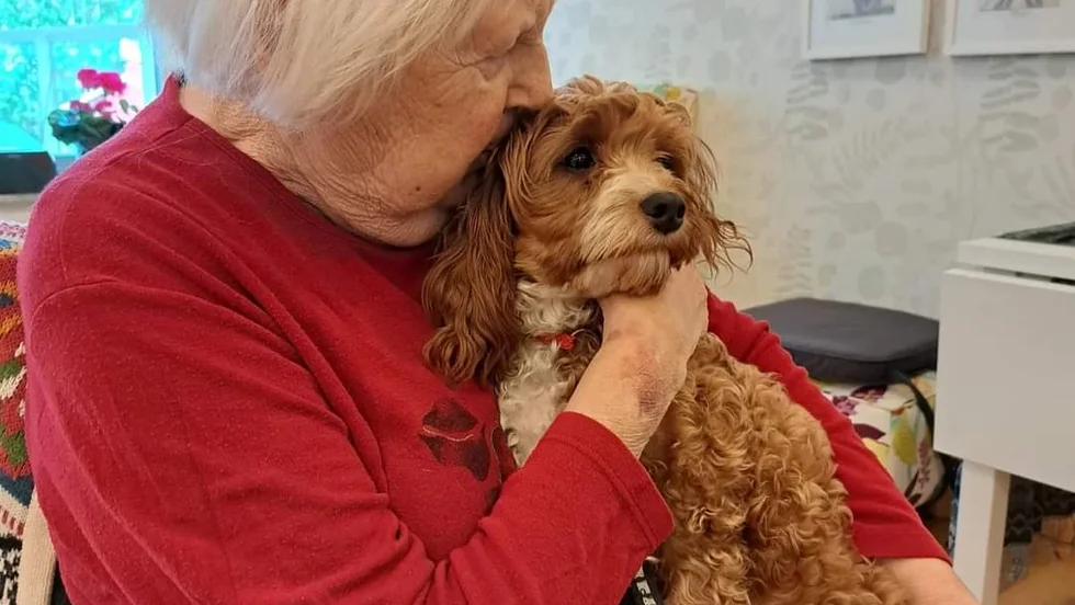 Ett möte med en hund kan betyda så mycket. Bilden talar för sig själv.