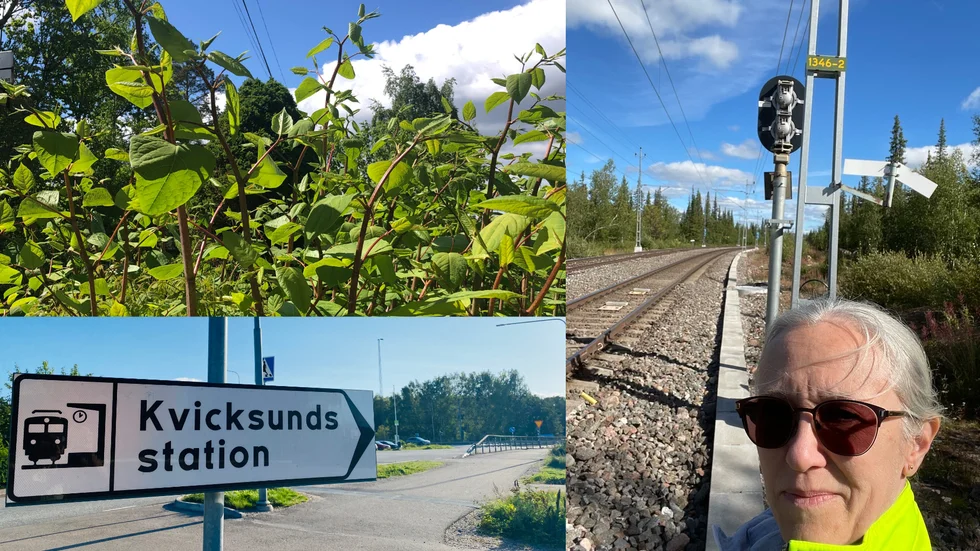 Ett stort rälsbyte väntar de närmaste åren, och kommer att ha stor påverkan på tågtrafiken förbi Kvicksund. Eva Spove är Trafikverkets projektledare för spårbytet.
