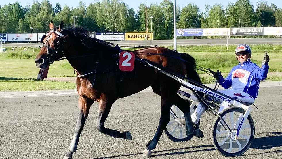 Jens Eriksson bakom Yaz Hanover. Som kusk passerade nu Jens en miljon kronor i inkörda pengar under 2020.