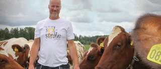 Hemma hos dagens solstråle sätter korna dagordningen