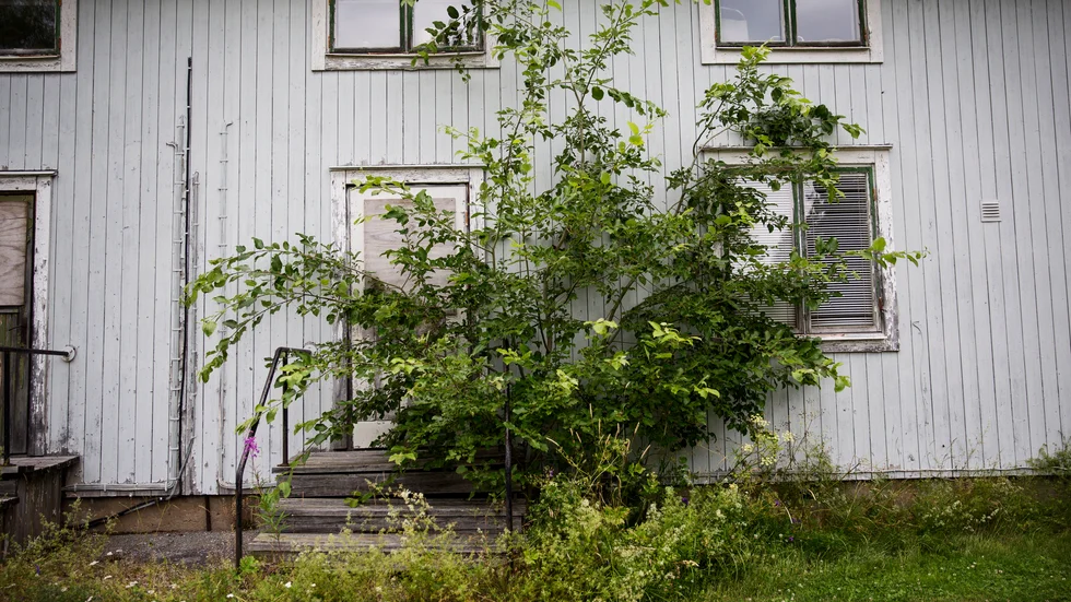 "Här finns också de hus jag varit med om att kasta åt gamarna. För billigt förvärvade för att bry sig om", skriver Solveig Nordmark.