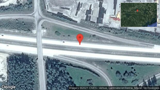 Rådjur på vägen på E20
