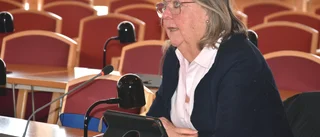 Oppositionspolitiker: "Vi hade kunnat göra mer"
