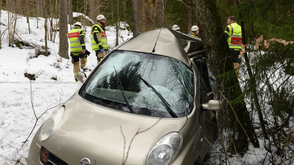 Bilen körde av vägen, ner i diket och in i ett träd.