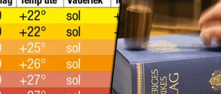 Hund lämnades i varm bil – fick avlivas: Ägaren fälls