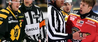 Nytt uppdrag för Per Ledin – ska jobba med Petterström