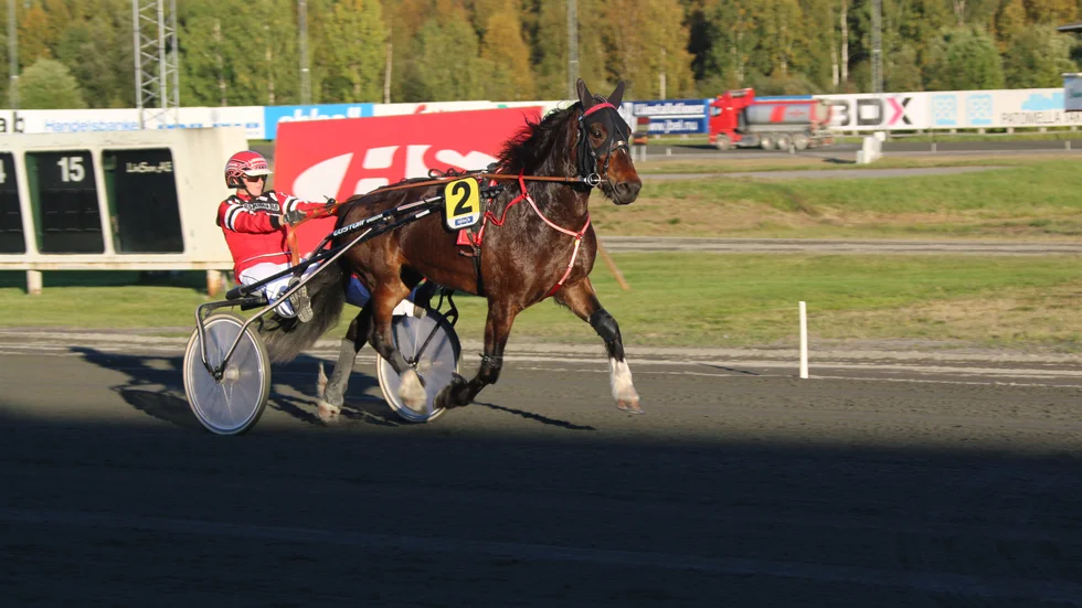 Jervjenta och Katariina Palomäki imponerade när de vann till 15 gånger pengarna i Boden. Ledning start till mål var segerreceptet.