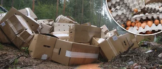 10 000-tals ägg från spanska burhöns dumpade utanför Eskilstuna