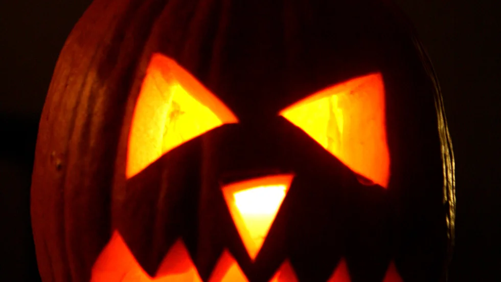 Pumpor används flitigt under Halloween.