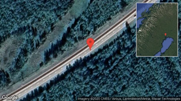 Fallna träd skapar problem i trafiken på E4