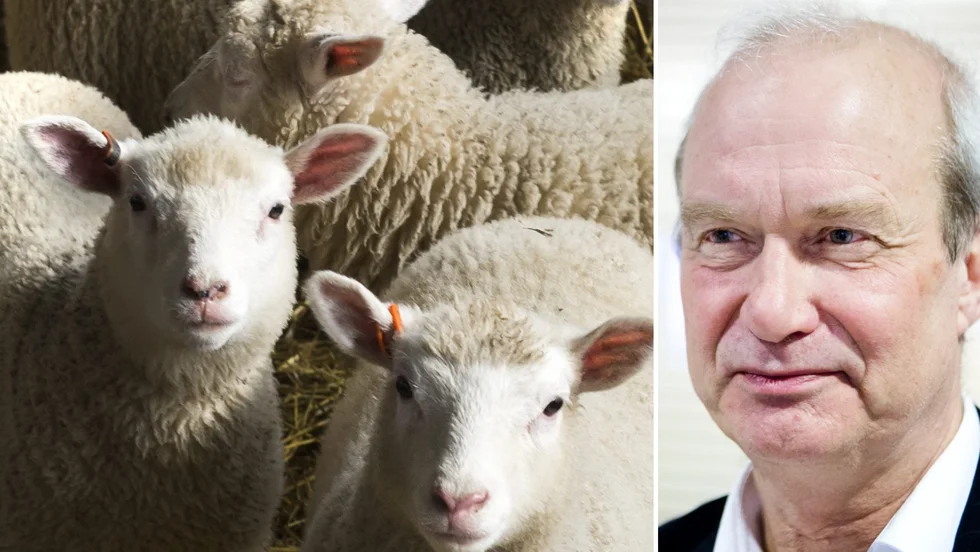 Kjell Norman, chef vid landsbygdsenheten, säger att de ser allvarligt på det som inträffat. 