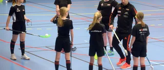 Onyx hoppades på träning för alla – kommunerna sa nej