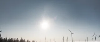 Vattenfall: "Inga belägg för negativa följder"