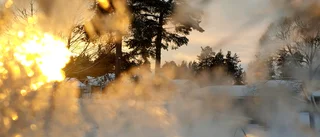 Läsarbilden                    