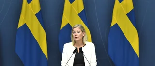 Regeringen utlovar nytt stöd till egenföretagare