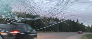 Fick vindrutan krossad av stenkastande barn