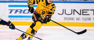Uppgifter: SHL-konkurrent på jakt efter AIK:s backtalang