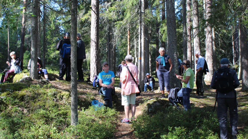 Fikapaus i Trollkäringeskongen i Flasbjörke, Det finns gott om "coronaplats" i skogen för Naturskyddsföreningens medlemmar.