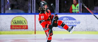 Poäng i 28 av 29 matcher: "Hockey är ett enkelt spel"