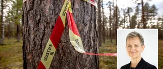 Vd:n fick gå efter konflikt med ledningen