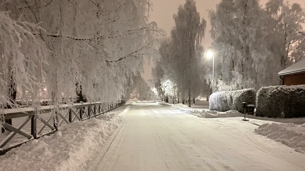 Morgonpromenad i vinterland.