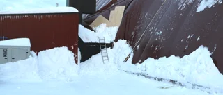 Utredning ska avgöra skadornas omfattning