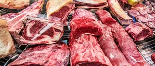 Markera mot en nordisk köttskatt nu, Kullgren