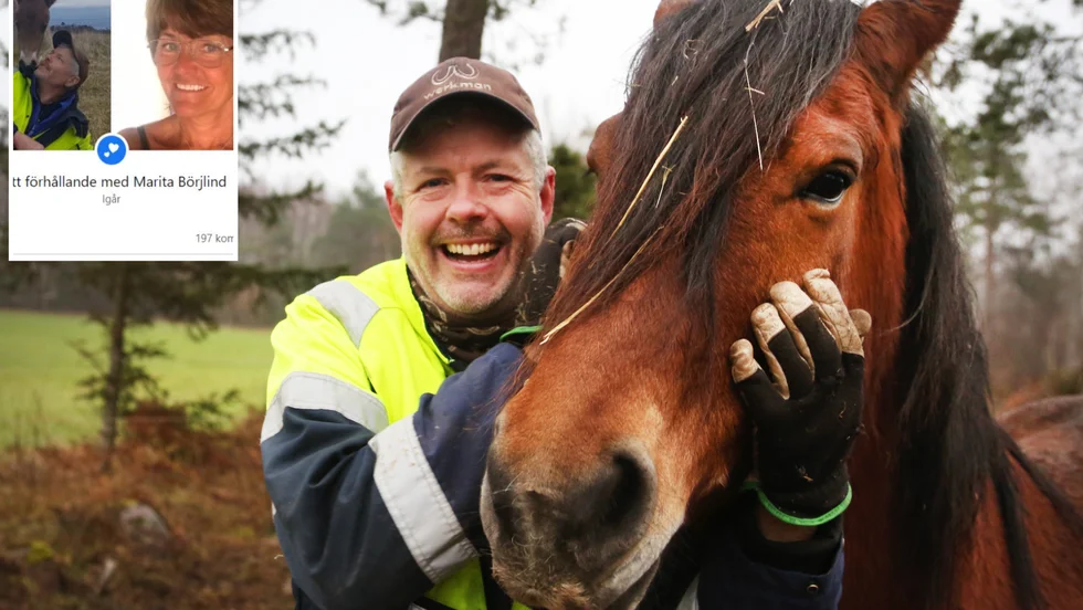 Mats Thomsson bor med sina två hundar och många hästar på gården i Hejde. Ett par månader efter att "Bonde söker fru" sändes i TV4 träffade han Marita Börjlind. "Nu är jag kär", säger han 