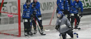 Sirius bandy går plus – med närmare 100 000 kronor