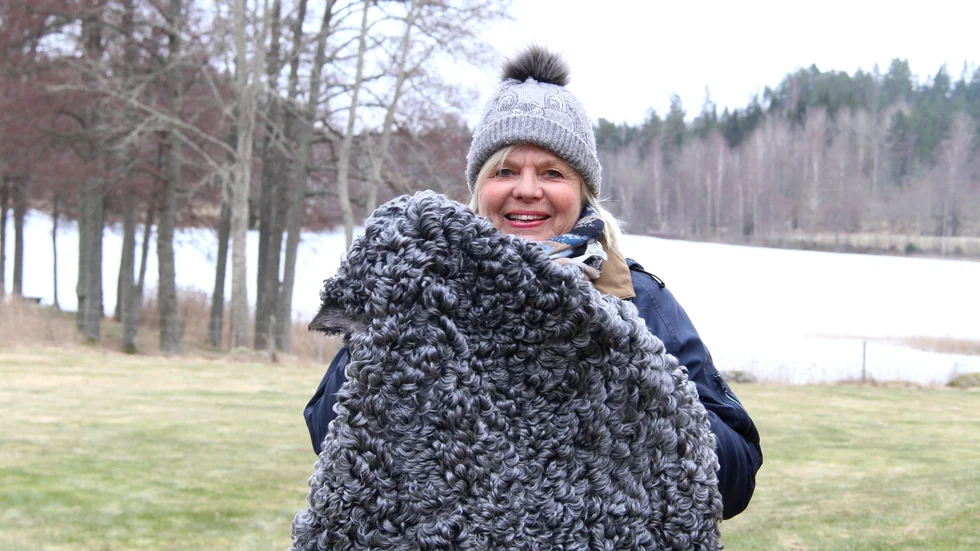 Gudrun Svensson från Orremåla är svensk mästare i fårskinn, genom en tävling som arrangeras av Gotlandsfårföreningen. Här visar hon upp det skinn som hon 2018 vann publikens utmärkelse med.