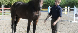 William Nilson Fryer bra med på unghäst-VM 