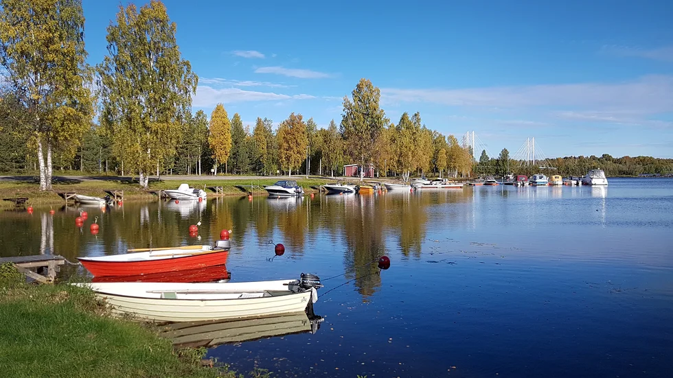 Vackert på promenaden förbi småbåtshamnen i Bergsviken.