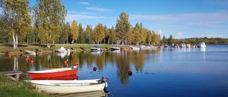 Läsarbilden                   