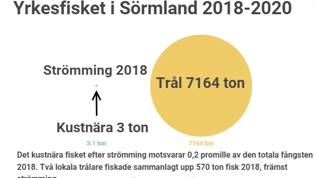 Det kustnära fisket står för en mycket liten del av allt fiske.
