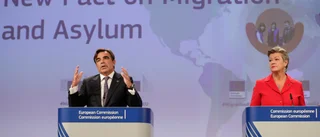 Snabbare deportationer löser inte EU:s problem
