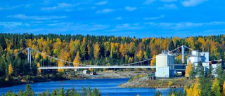 Örjans foto av hängbron vid A8