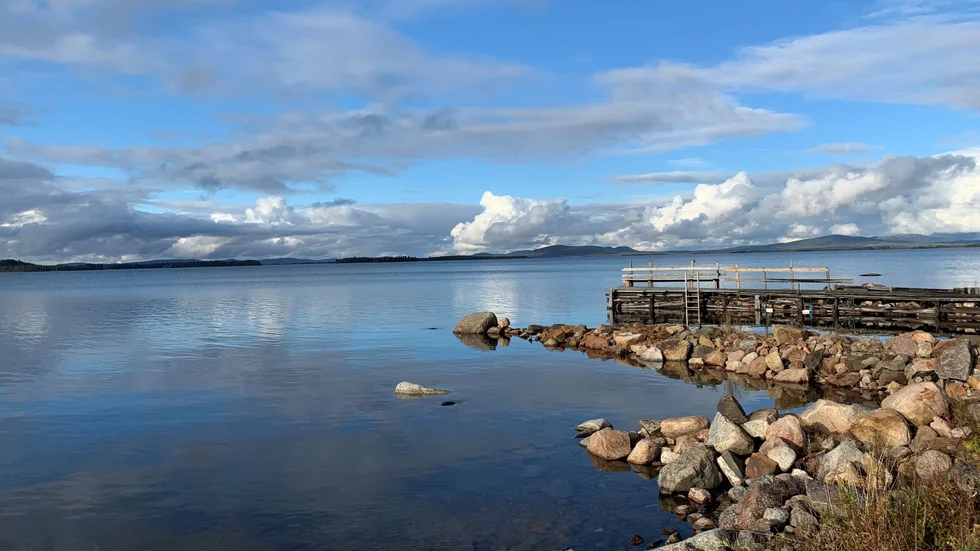 Underbart vid vattnet i Varsavareby.