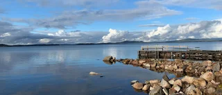 Läsarbilden                   