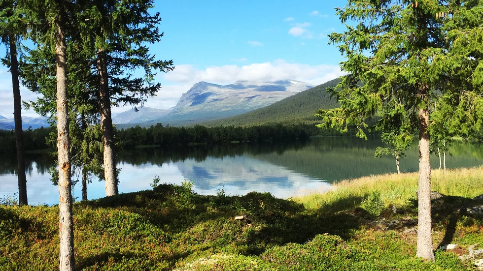 Det kan bli lättare att få bygga i strandnära lägen i Norrbotten om utredningens förslag blir verklighet.