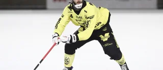 Uppgifter: Hammarby intresserat av Kalixsonen