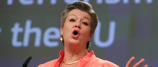 Ylva Johansson sjunger ut om problem och åtgärder
