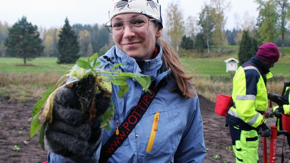 Sofia Almkvist visar några av de 1 500 plantor som sattes ned i jorden på den blivande ängen vid hål 2 på Finspångs GK.