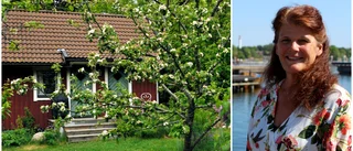 Fjolårets billigaste fritidshus i Västervik: 420 000 kr