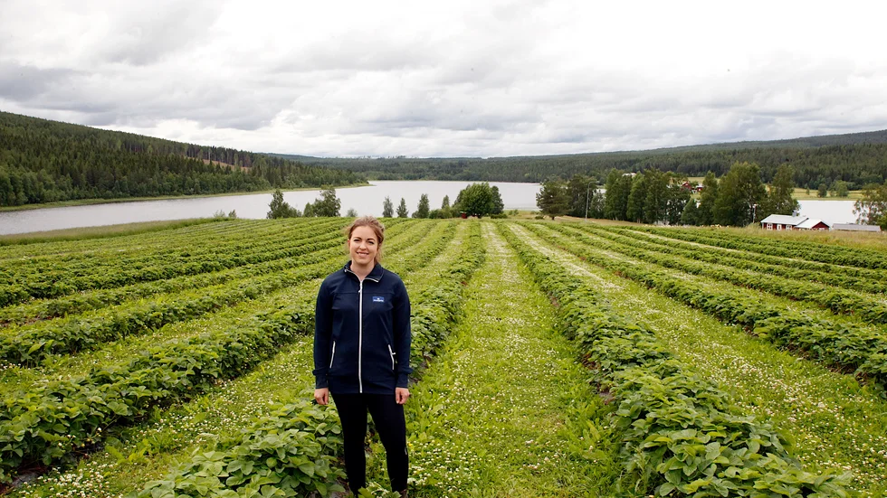 Beatrice Ramnerö i Lillkorsträsk välkomnar den tidiga skörden och hoppas att det ostadiga vädret ska stabiliseras så att självplockningen kan komma igång.