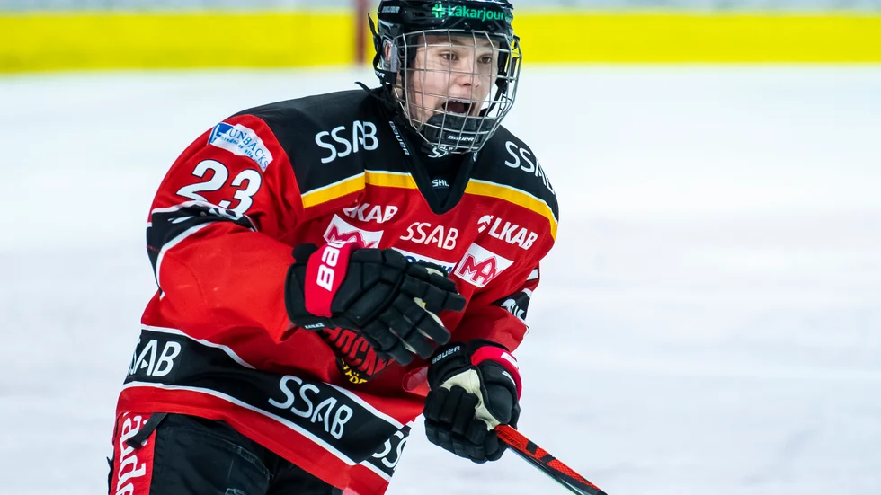 Fabian Lysell, Luleå Hockey.