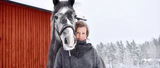 Gertrud Hellbrand återvänder till hästvärlden i ny bok