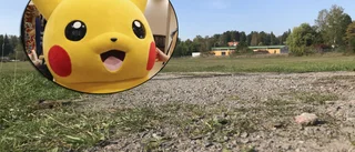Rörvallen försvann – lever kvar i Pokémon go
