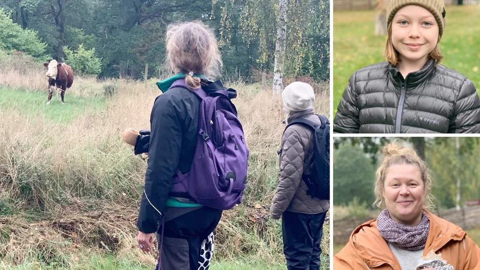 Kulningen lockade till sig kossorna i hagen. Martha Boknäs (uppe till höger) och Lina Svärd (nere till vänster) var två av deltagarna på kursen.