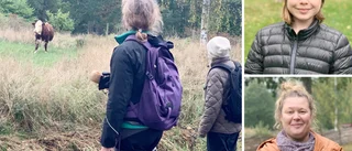 Lockade alla kossorna - "Det är bara att våga vråla" 