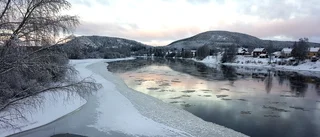 Läsarbilden                    